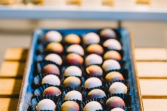TIACA_Warsaw_craftshots-pl_296