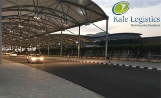 Kale 1