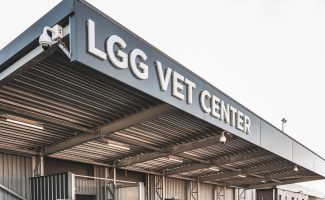 Liege-Airport-Photo-Liege-Airport-via-Lemon-Queen-PR-2048x1401