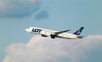 Lot 1