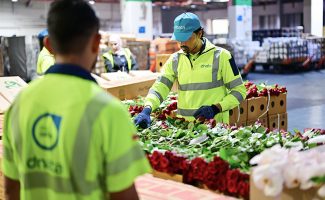 dnata-handles-227530-kilograms-of-valentines-day-flowers-in-five-days-1770982384